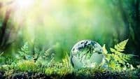 eco clean Service