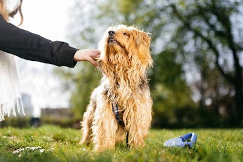 user-upload/business/work-media/0119525a77324368b4ccc58c473a6ffc.jpeg