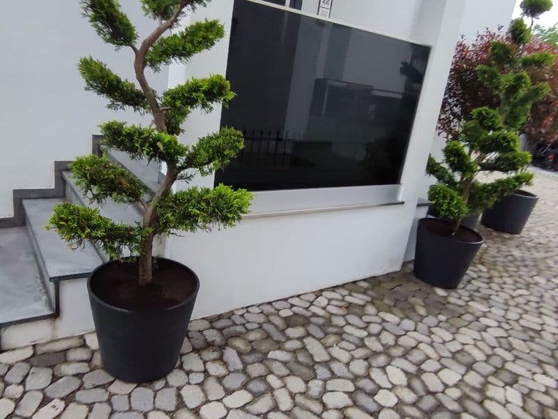 user-upload/business/work-media/ef5de9f3bda944e2934b8bb07f5e50b1.jpeg