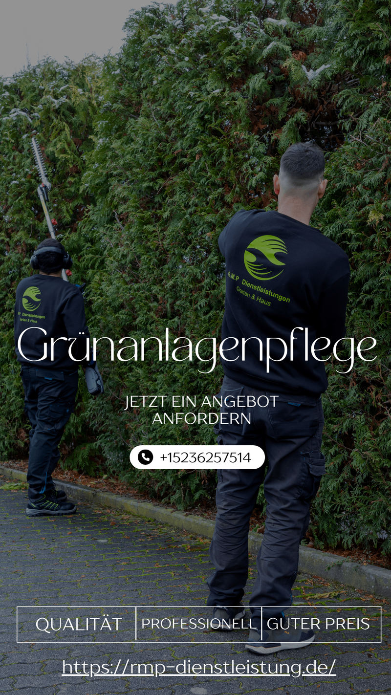user-upload/business/work-media/5b81b26ac76f4dda84822d9c71efbaff.jpeg