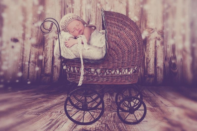 user-upload/business/work-media/lw8cw4fopx8rwuxitk2qx_lieblingsbilder-blombergfotodesign.jpeg