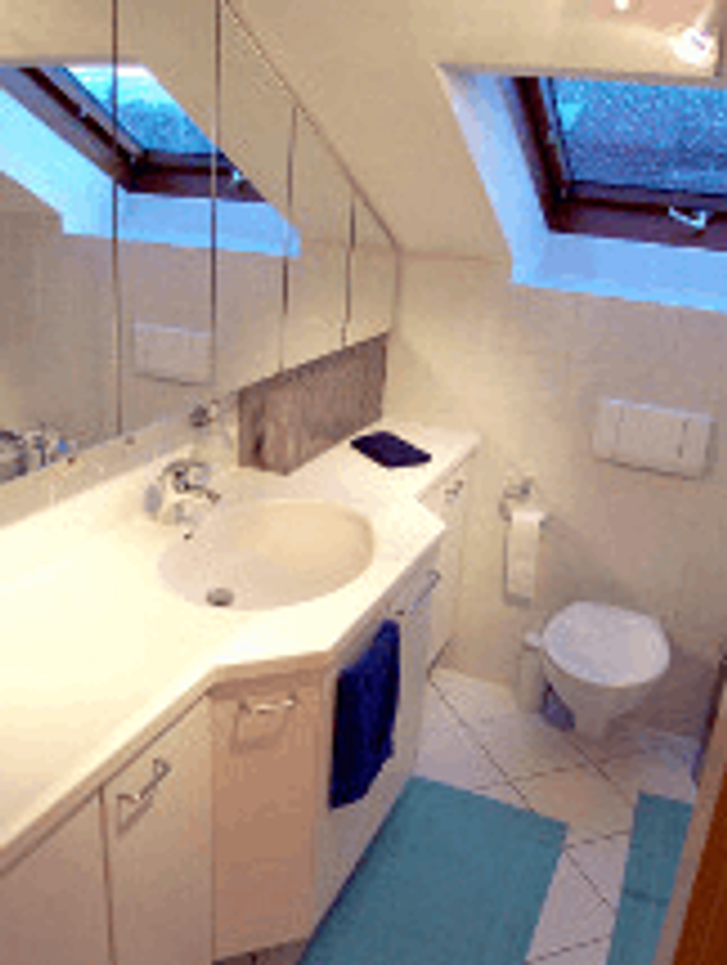user-upload/business/work-media/u233cxmrh1f0l9ztjvelxpr_peter-ruebesam.png