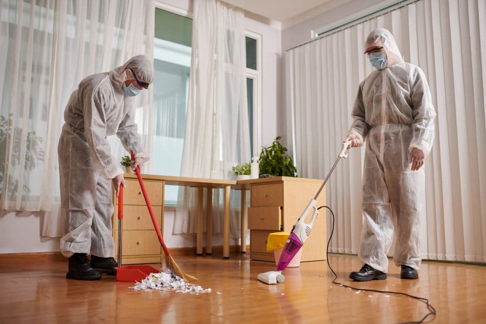 Wir helfen dir, passende Reinigungsfirmen zu finden - Listando